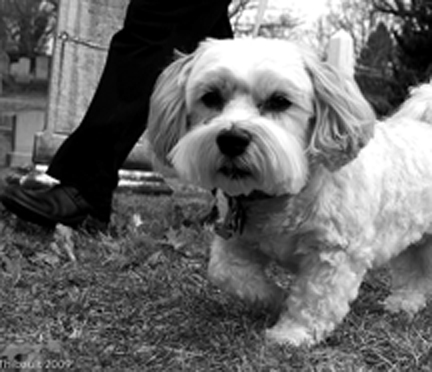 Rosie