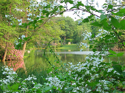 Lake Hibiscus in the evening